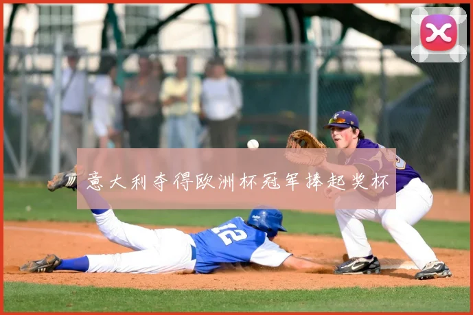 意大利夺得欧洲杯冠军捧起奖杯