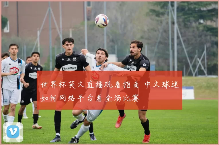 世界杯英文直播观看指南 中文球迷如何网络平台看全场比赛