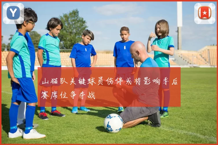 山猫队关键球员伤停或将影响季后赛席位争夺战